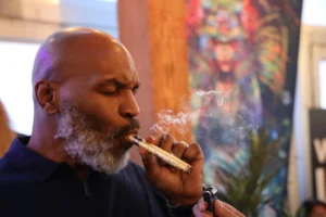 Buy cannagar USA , cannagar blunt, cannagar sale, cannagar for sale near me, lobo cannagar near me, where can i buy a cannagar, buy cannagar, cannagar for sale near me, leira cannagar near me, 