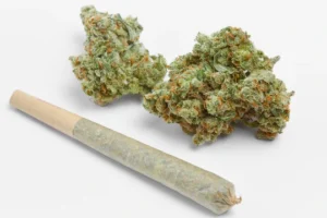buy weed online berlin, how to buy weed online without getting caught, buy weed online cheap, can you buy weed online, best place to buy weed online, buy weed online from california, buy weed online free shipping, buy weed online without medical card, buy weed online with credit card, buy weed online ship anywhere, buy weed online legally, buy weed online same day delivery, buy weed online nearby, buy weed online legal, buy weed online mn, buy weed online ontario, buy weed online australia, buy weed online canada, buy weed online near me, buy cannabis online, cannabis online for sale, weed for sale online near me, 